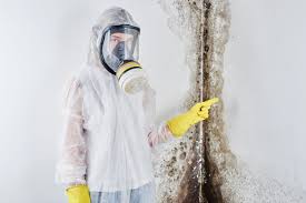 Best Industrial Mold Remediation  in USA